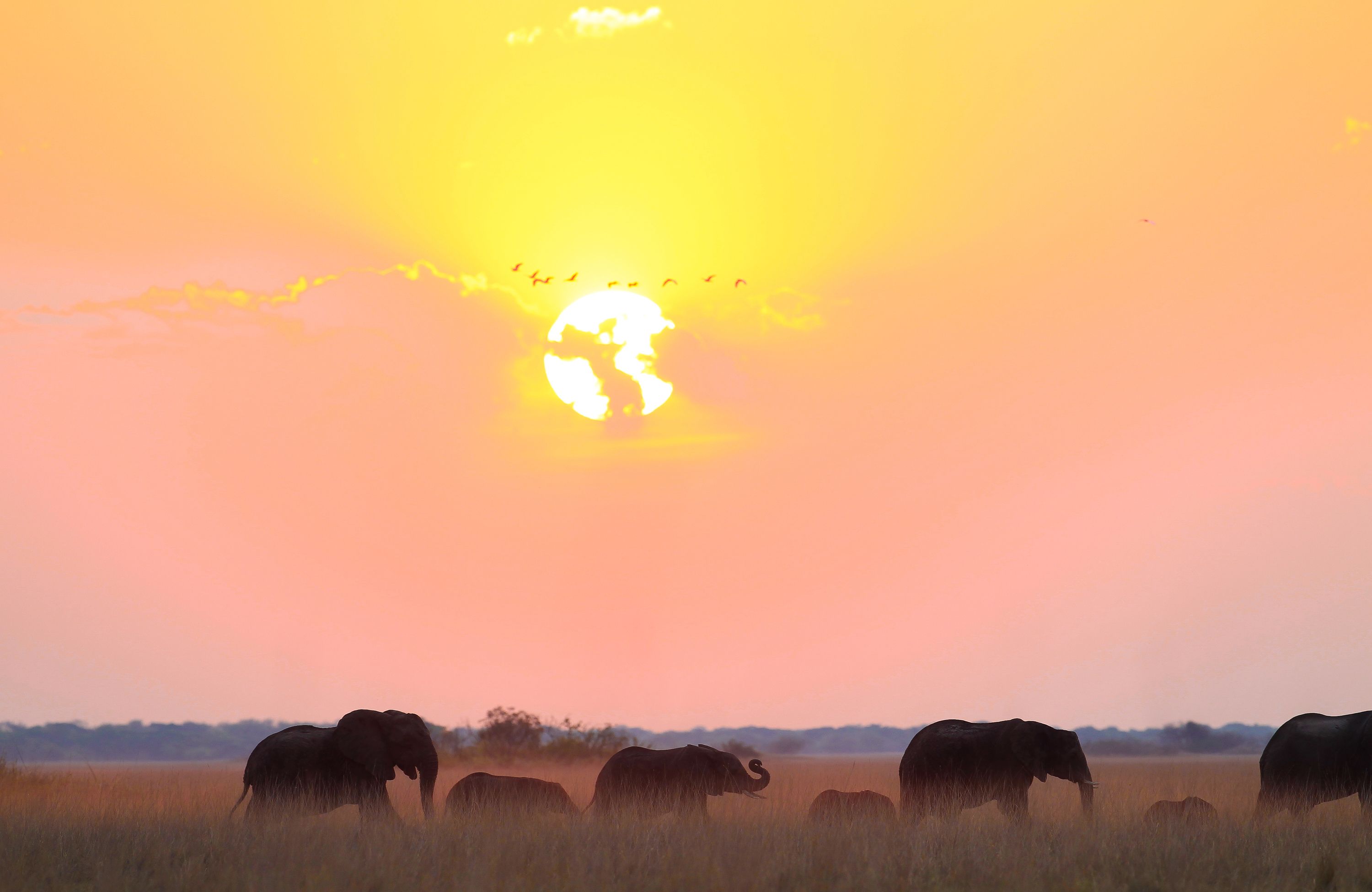 Italian energy firm Enel switches on its first power plant in Zambia