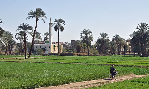 Egyptian Countryside - Creative Commons via Wikimedia Commons