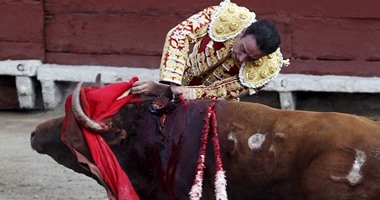 مصارعة الثيران.. أرباح خيالية تدعم اقتصاد أسبانيا.. تعرف عليها