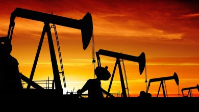 Oil settles unchanged, paring early losses