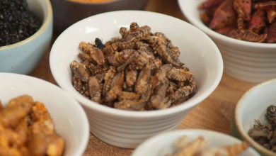 How entrepreneurs are persuading Americans to eat insects