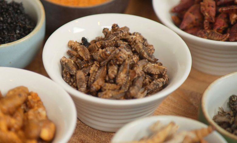 How entrepreneurs are persuading Americans to eat insects