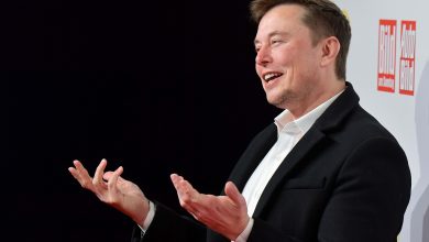 Tesla gets German court approval to chop down trees for Gigafactory 4