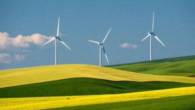 Wind is now most-used source of renewable electricity generation in US