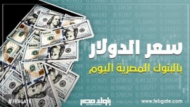 ارتفاع طفيف في أسعار الدولار بختام تعاملات الخميس.. ويسجل 15.54 جنيها للشراء في «الكويت الوطني»