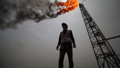 OPEC, IEA warn some nations could lose up to 85% of oil and gas income