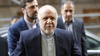 Iran minister accuses 'some countries' of not declaring coronavirus cases