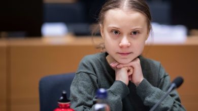 EU's proposed climate law has not gone down well with Greta Thunberg