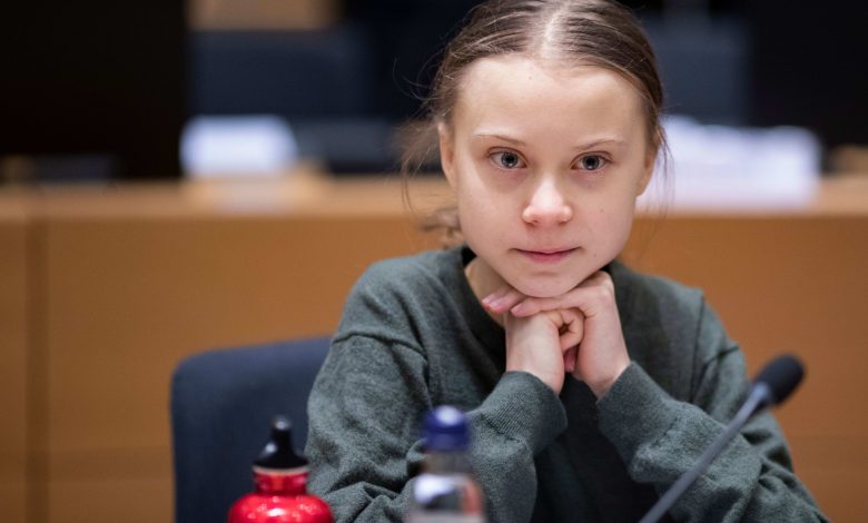 EU's proposed climate law has not gone down well with Greta Thunberg