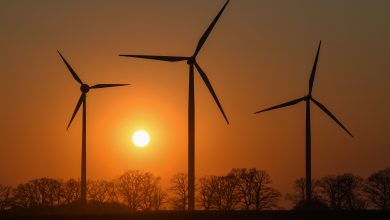 Wind energy enjoyed bumper 2019, but the coronavirus poses a challenge