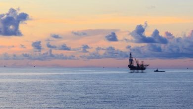 Tower Resources finds partner for Thali block offshore Cameroon