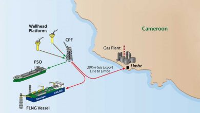 New Age hands out Etinde FEED award to TechnipFMC