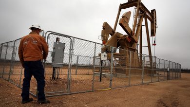 US oil production plunges as the industry retrenches, and more cuts are expected after a price crash