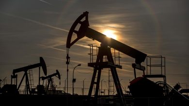 OPEC and G-20 meeting unlikely to help that much