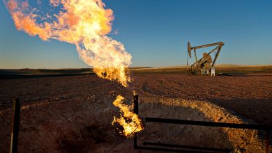 The oil industry shakeout is just beginning with more production cuts and bankruptcies ahead