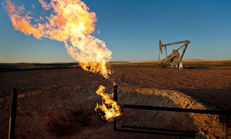 The oil industry shakeout is just beginning with more production cuts and bankruptcies ahead