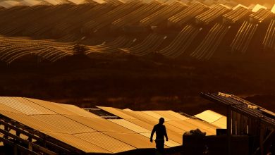 'Europe's largest' solar power facility comes online