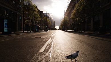 Coronavirus lockdown has 'dramatically improved' air quality in London