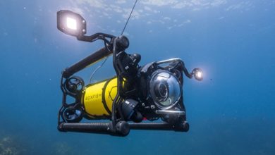 Unique Group strikes ROV partnership with Boxfish Research