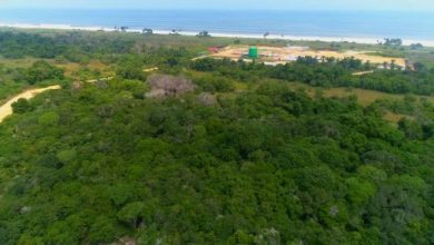 Aerial view of AAOG Congo site; Source: AAOG