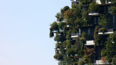 Buildings covered in trees offer glimpse of future urban living