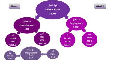 إنفو جراف.. أبرز 8 مؤشرات لقوة العمل خلال الربع الأول من 2020