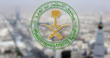 صندوق الاستثمارات العامة السعودى يشترى حصة 2.04% فى ريلاينس ريتيل فنشرز