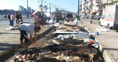 إزاى تدبغ جلود الأضاحى فى البيت؟.. شعبة أصحاب المدابغ بالغرفة التجارية تجيب