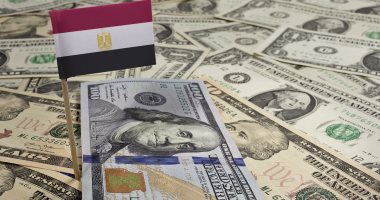 مسئول دولى: مملتزمون بدعم الحكومة المصرية ونسعى لزيادة مساهمات المصريين بالخارج