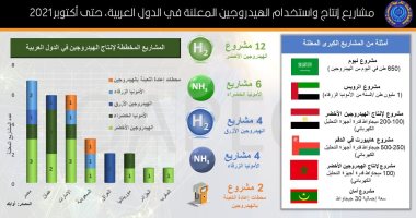 من بينها مصر.. "أوابك": 28 مشروعا معلنا لإنتاج الهيدروجين بالمنطقة العربية