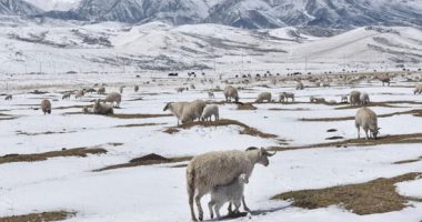 تعرف على تأثير التغيرات المناخية على ذوبان الجليد ومستوى الأنهار